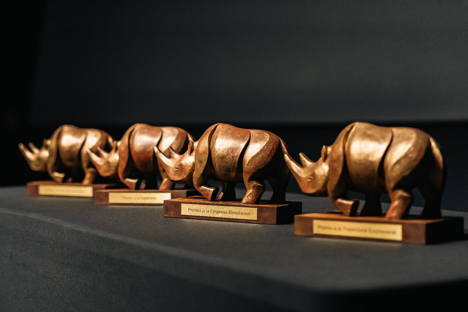 VERINSUR GALARDONADA CON EL PREMIO A LA MEJOR TRAYECTORIA EMPRESARIAL